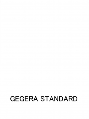 (C103) [GEGERA STANDARD (げげら俊和)] ちんまほ  (葬送のフリーレン)_10