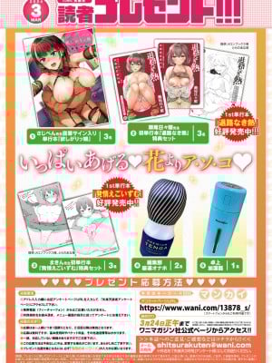 COMIC 失楽天 2024年3月号 [DL版]_177