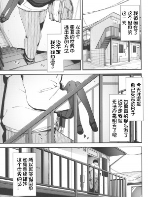 (C103) [ホロナミンZ (ホロナミン)] Re：Rape 4 最終話 [想日电酱汉化组]_05