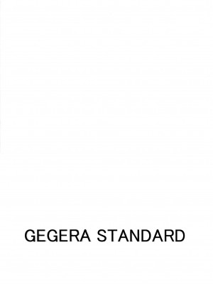 (C103) [GEGERA STANDARD (げげら俊和)] ちんまほ (葬送のフリーレン) [无毒汉化组]_11