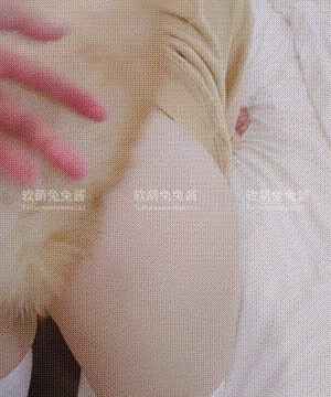 软萌兔兔酱 -  爱猫人士 with GIF_128