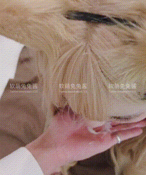 软萌兔兔酱 -  爱猫人士 with GIF_100