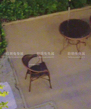 软萌兔兔酱 -  爱猫人士 with GIF_082