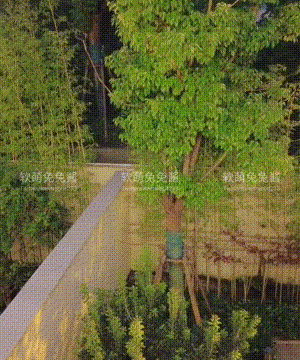 软萌兔兔酱 -  爱猫人士 with GIF_077