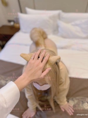 软萌兔兔酱 -  爱猫人士 with GIF_036