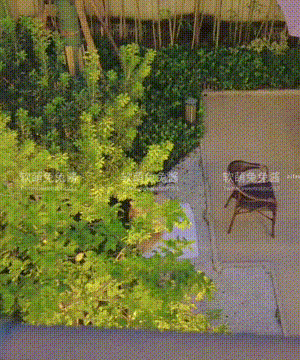 软萌兔兔酱 -  爱猫人士 with GIF_079