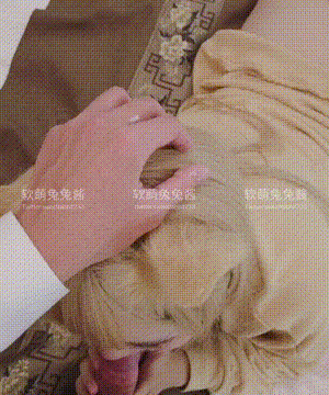 软萌兔兔酱 -  爱猫人士 with GIF_107