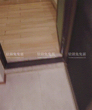 软萌兔兔酱 -  爱猫人士 with GIF_080