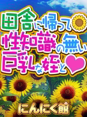 [にんにく館] 田舎に帰って性知識の無い巨乳な姪と_004
