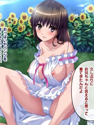 [にんにく館] 田舎に帰って性知識の無い巨乳な姪と_009