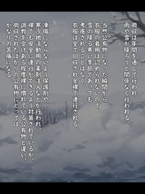 [ゆきむら丸] 公有物少女 ～ 国の所有物として人権を剥奪され物として扱われる女の子の話 ～ 番外編 雪の中の徴収 [DL版]_04