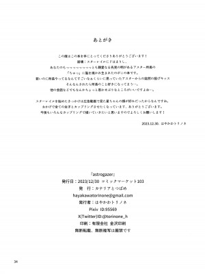 (C103) [カナリアとつばめ (はやかわトリノネ)] astrogazer (崩壊スターレイル)_33