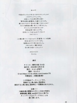 (C103) [ももしば杏子 (なふたん)] 帰宅寸前その3 (ゼロの使い魔)_26_26