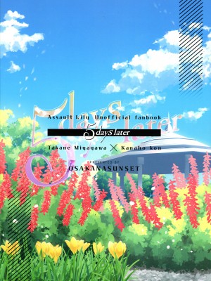 (C103) [OSAKANASUNSET (きむラ)] 5days later (アサルトリリィ)_02