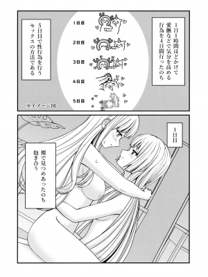 (C103) [OSAKANASUNSET (きむラ)] 5days later (アサルトリリィ)_11