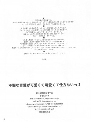 (C103) [適齢期に食中毒 (沢村青)] 不憫な青葉が可愛くて可愛くて仕方ないっ!!  (艦隊これくしょん -艦これ-)_17