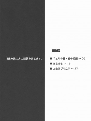 (COMIC1☆3) [Nirvana Soft (ひろにい)] フェリの秘•密の特訓 (鋼殻のレギオス)_03