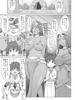 (C103) [あれあれえ] マーニャさんとミネアさんとアレに入る本 (ドラゴンクエストIV)_02