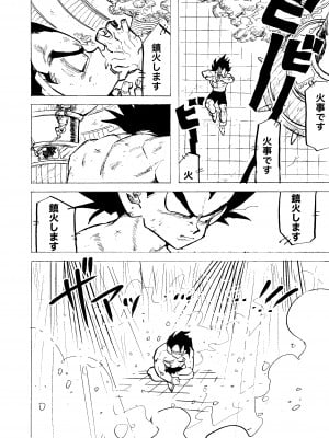 [HeyHey (笑平)] ぶるまあああ 酒と泪と下品な女 (ドラゴンボールZ) [DL版]_10