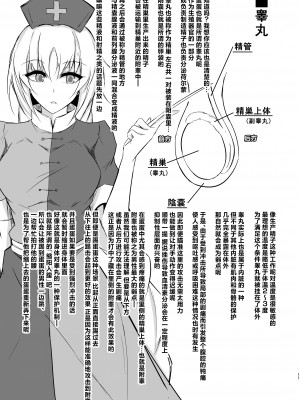 [ぴくち屋 (ピロ)] うどんちゃんと学ぶ『玉責めのすゝめ』 (東方Project) [白杨汉化组] [DL版]_12