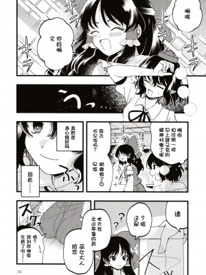 (第百三十八季 文々。新聞友の会) [seseri (守崎)] ルベウスの寛解 (東方Project) [中国翻訳]_33