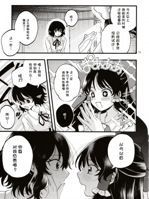 (第百三十八季 文々。新聞友の会) [seseri (守崎)] ルベウスの寛解 (東方Project) [中国翻訳]_12