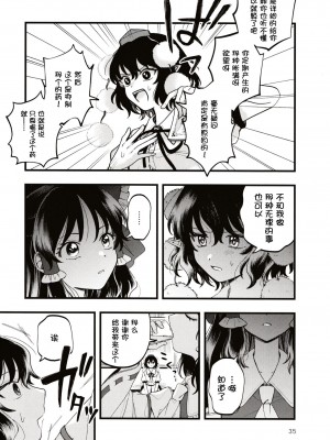 (第百三十八季 文々。新聞友の会) [seseri (守崎)] ルベウスの寛解 (東方Project) [中国翻訳]_34
