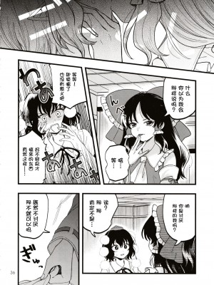 (第百三十八季 文々。新聞友の会) [seseri (守崎)] ルベウスの寛解 (東方Project) [中国翻訳]_35