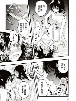 (第百三十八季 文々。新聞友の会) [seseri (守崎)] ルベウスの寛解 (東方Project) [中国翻訳]_28