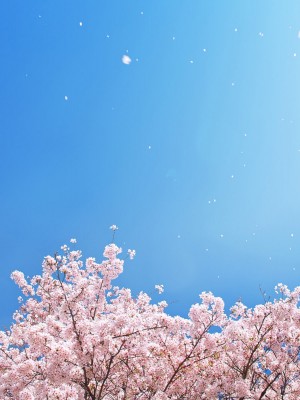 [雨照月影] 生意気な褐色巨乳ギャルの孕ませたいカラダ_090
