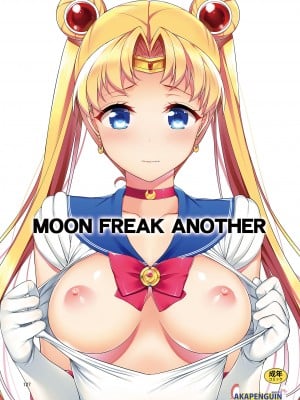 (C88) [アカペンギン (アサヒナヒカゲ)] MOON FREAK ANOTHER (美少女戦士セーラームーン) [akaziki个人汉化]