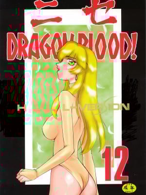 (C63) [LTM. (たいらはじめ)] ニセ DRAGON BLOOD! 12 [WindSong个人汉化]