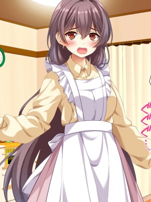 [スクランブルミートボール] ふしだらなお母さんでごめんなさい〜俺のカノジョは彼女の母親〜 [中国翻訳]_015