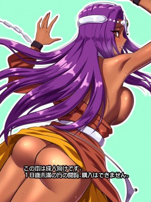[陰者の廓 (うらかん)] 囚われの姉妹 (ドラゴンクエストIV)  [DL版]_29
