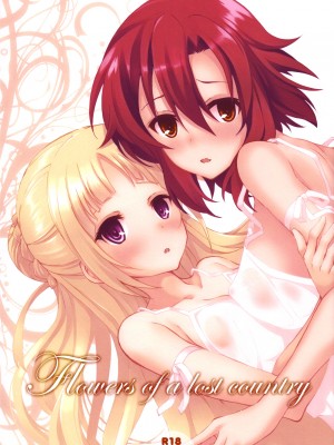 (C91) [セブンデイズホリディ (篠川あるみ、古我望)] Flowers of a lost country (終末のイゼッタ) [零食汉化组]_02