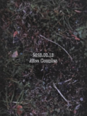 (C102) [AliceComplex (長野原にす)] Loser_20