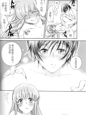 [soulrr 個人漢化] (C75) [やまぐち楼 (やまぐちしんじ)] ACCOMPLICE (コードギアス)_23