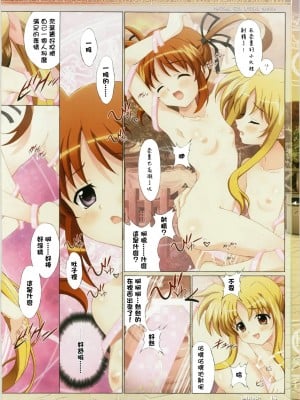 [final個人漢化] (C79) [ひよたま御殿 (長瀬ゆたか)] 魔法少女無双 (魔法少女リリカルなのは)_018f