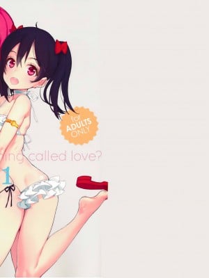[少女騎士団 (大槍葦人)] What is this thing called love 1 (ラブライブ!)