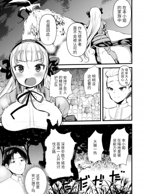 [亀吉いちこ] レベル1の姫騎士さんとゆるふわ無人島ライフ 上[無修正][DL版]_039