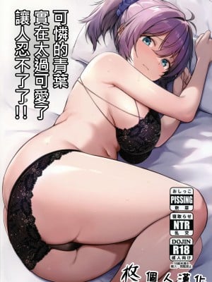 (C103) [適齢期に食中毒 (沢村青)] 不憫な青葉が可愛くて可愛くて仕方ないっ!! (艦隊これくしょん -艦これ-)｜可憐的青葉實在太過可愛了讓人忍不了了!! [柊個人漢化]_01