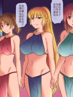 [胸垫汉化组] [金メッキ魂 (せんどりくん)] 女騎士はオークに陵辱される Ⅱ [中国翻訳]_014