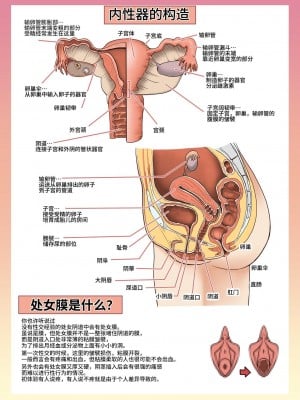 [人生横滑り。 (荒岸来歩)] メイドさんと学ぶおんなのこのからだ [中文] [这样很好=汉化组合]_015