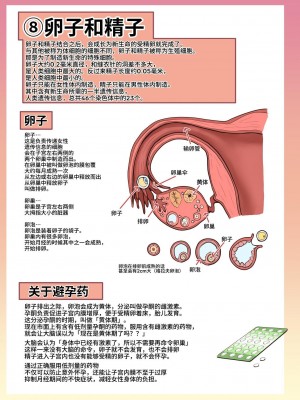 [人生横滑り。 (荒岸来歩)] メイドさんと学ぶおんなのこのからだ [中文] [这样很好=汉化组合]_036