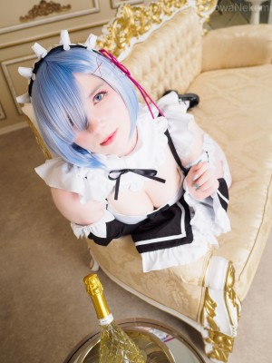 Erokawa Nekomi - Rem_29