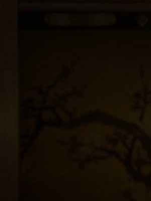 [むらパラ!] 魔眼催眠～シノビ孕マセ計画～ [中国翻訳]_326