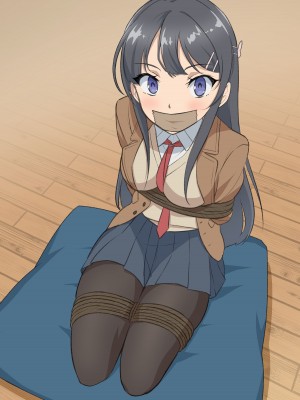 [球W] 青春ブタ野郎はバニーガール先輩を縛ってみたい [中国翻訳]_11