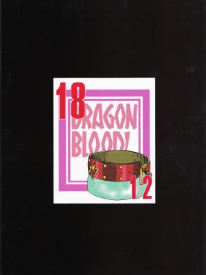 (C80) [LTM. (たいらはじめ)] ニセ DRAGON BLOOD! 18.5 [WindSong个人汉化]_02