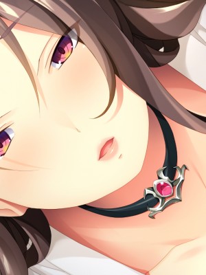 (同人CG集) [TGA] 異世界熟女ファック_078
