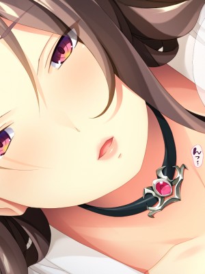 (同人CG集) [TGA] 異世界熟女ファック_079